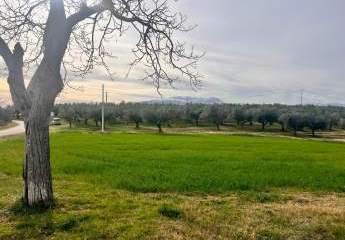 Casa indipendente con terreno a Pianella