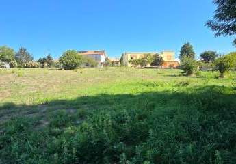 474902-Vorschaubild3