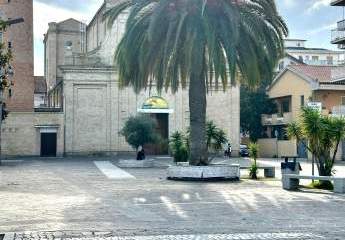 473283-Vorschaubild4