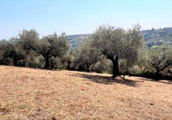 Vendesi terreno edificabile a Montesilvano prima collina
