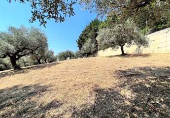 473285-Vorschaubild2