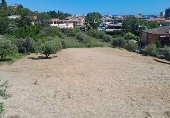 Terreno agricolo in Vendita