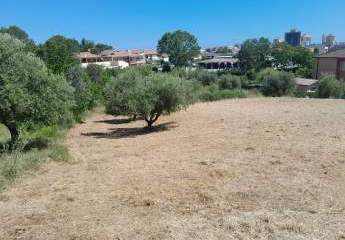 474878-Vorschaubild4