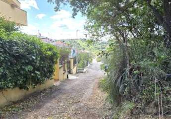 473291-Vorschaubild2