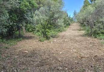 473291-Vorschaubild3