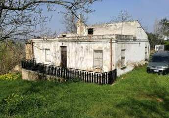 473284-Vorschaubild2