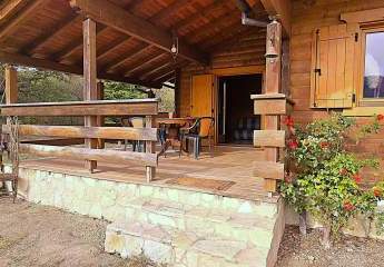 482139-Vorschaubild2