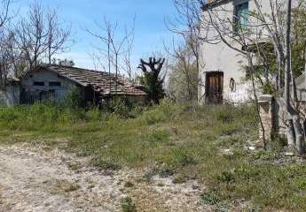 474891-Vorschaubild3