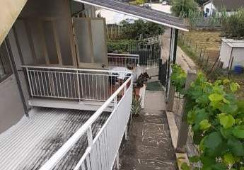 474911-Vorschaubild2