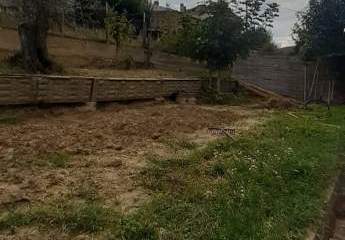 474911-Vorschaubild4