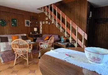 474879-Vorschaubild2