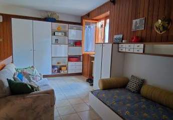 474879-Vorschaubild3