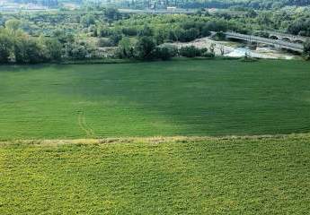 474876-Vorschaubild3