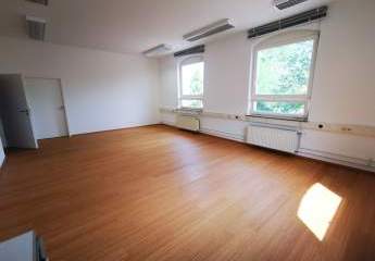 459705-Vorschaubild4