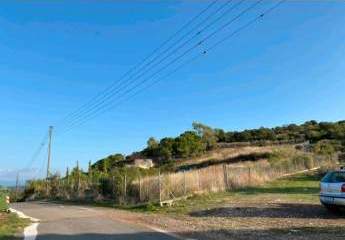 460074-Vorschaubild2