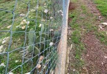 460074-Vorschaubild3