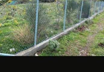 460074-Vorschaubild4