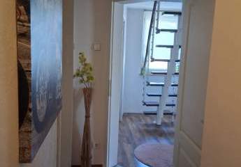 460126-Vorschaubild3