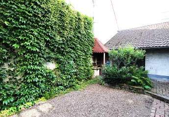 461638-Vorschaubild3