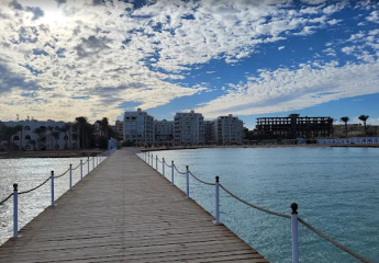 462178-Vorschaubild2