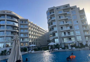 462178-Vorschaubild3