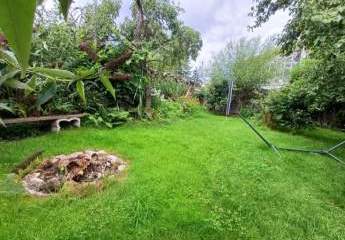 461496-Vorschaubild4