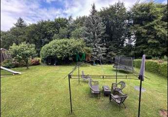 475325-Vorschaubild4