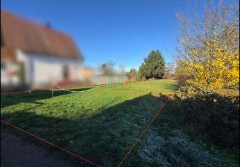 475327-Vorschaubild3