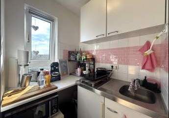 481897-Vorschaubild2