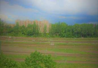 462538-Vorschaubild3