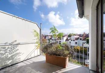 462691-Vorschaubild3