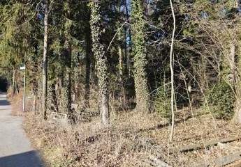 473874-Vorschaubild3