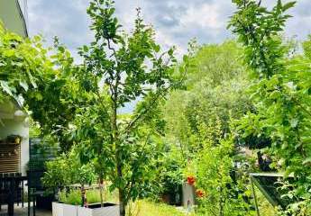 473928-Vorschaubild4