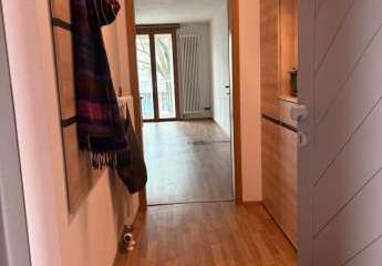 474182-Vorschaubild2