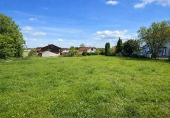 478566-Vorschaubild2