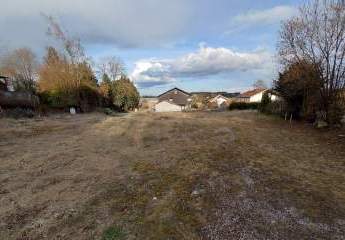 478569-Vorschaubild4