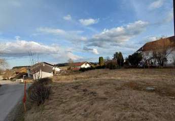 478572-Vorschaubild3