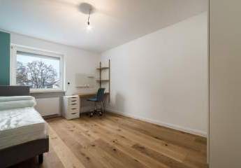 481560-Vorschaubild2