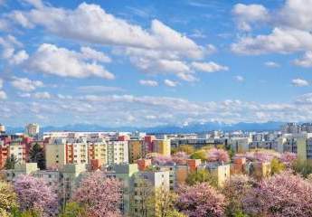 484166-Vorschaubild3