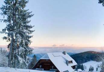 465313-Vorschaubild2