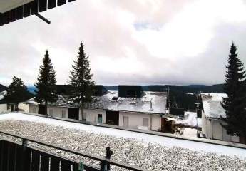 465313-Vorschaubild4