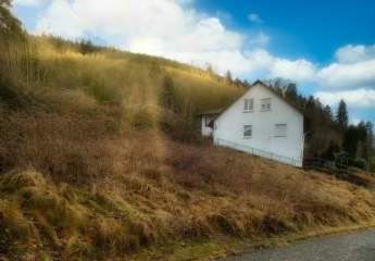 472734-Vorschaubild2