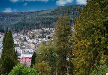 472734-Vorschaubild4