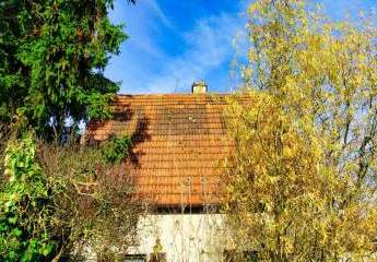 472871-Vorschaubild2