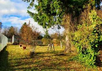 472871-Vorschaubild3