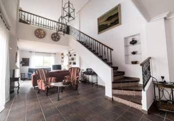 462992-Vorschaubild3