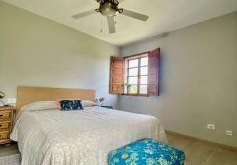 462994-Vorschaubild3