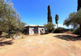 463251-Vorschaubild3