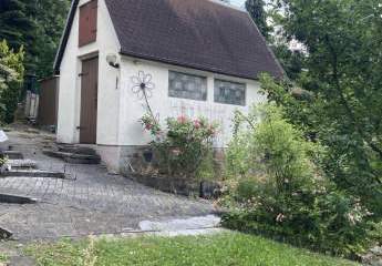 494546-Vorschaubild4
