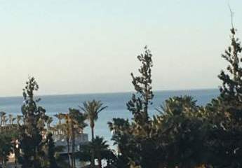 464605-Vorschaubild4